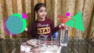 Science Experiment for Kids - Budding Scientist - Egg Floating on water