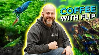 Ep. 24 Keeping Shrimp Breeding Setups Simple  - Coffee With Flip [Aquarium Podcast]