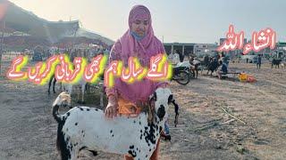 insha'Allah aglry Saal ham bhi qurbani kren ge | Pakistani Family Vlogs | Punjabi Pendu Vloger