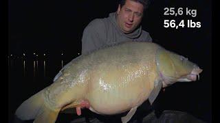 Kanaal karper vangst 51 pond zwaar in Nederland - Karpervissen is een avontuur - deel 3