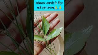 सोमवार की अष्टमी #सोमवार #अष्टमी तिथि के #उपाय #विवाह के लिए #trending #shorts #viral #ytshort #my