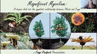 Ruth Idunn, of Fungi Perfecti, presents an in-depth look at how mycelium impacts all living things.