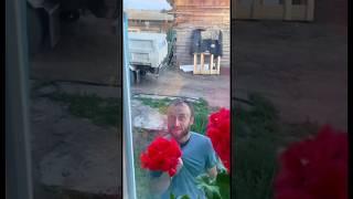 Так и живем️