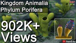 Learn Biology: Kingdom Animalia: Phylum Porifera |iKen | iKen Edu | iKen App