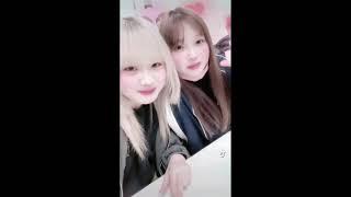 240211  [TikTok] 荒巻美咲、山内祐奈  (顔面最強コンピ) / 아라마키 미사키, 야마우치 유우나 (안면최강콤비)