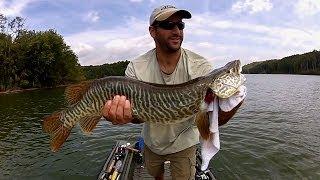 SUMMER BASS FISHING with a TIGER MUSKIE SURPRISE!