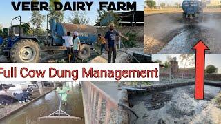 Cow dung waste management of dairy farm । Cow dung scraper । Veer dairy Farm ।