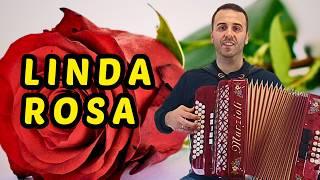 Música tradicional portuguesa: Linda Rosa 🪗 [CONCERTINA | DIATONIC ACCORDION]