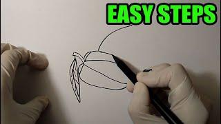 How to draw a star fruit | easy to draw