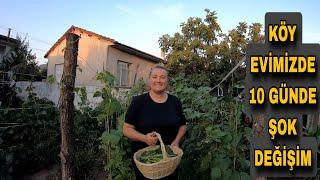 KÖY EVİMİZDE 10 GÜNDE ŞOK DEĞİŞİM GÖRÜNCE ŞOK OLDUM - KÖY HAYATI