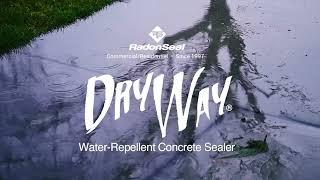 Best Sealer for your Concrete Driveway & Sidewalk - DryWay PLUS