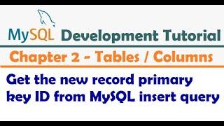 Get the new record primary key ID from MySQL insert query - MySQL Developer Tutorial