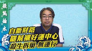 【談風論水】（150）豪師傅：燕子巢是好兆頭，沙田好運中心竟然殺生拆巢，可憐燕子父母失雛鳥。