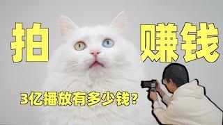 拍猫就能年入百万？小伙真实经历告诉你3亿播放有多少钱！