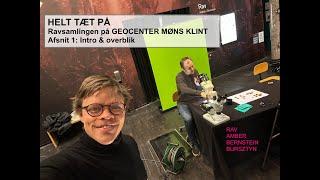 HELT TÆT PÅ - Ravsamlingen på GEOCENTER MØNS KLINT - Afsnit 1