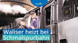 Neuer Heizer aus Wales bei der Harzer Schmalspurbahn | MDR SACHSEN-ANHALT HEUTE | MDR