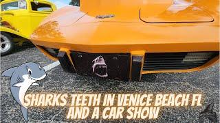 Looking for shark's teeth in Venice Beach FL and a car show