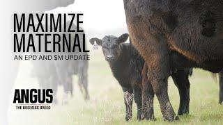 Maximize Maternal: An EPD and $M Update