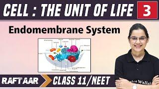 Cell : The Unit of Life 03 || Endomembrane System || Class 11/NEET || RAFTAAR