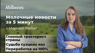 Молочные новости за 5 мин.: главный тракторист страны, судьба суэцких коз, 100% переработка упаковки