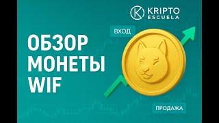 Обзор монеты WIF