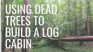 On Building a Log Cabin With Fallen Trees @ Handmade House TV #140