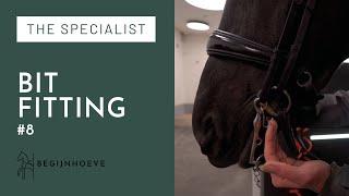 How to properly fit the bit for your Dressage Horse | Begijnhoeve | The Specialist #8