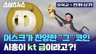 도지 코인이 오르면 비트코인이 떨어진다? 코인판 도시전설 / [오목교 전자상가 EP.27] 스브스뉴스