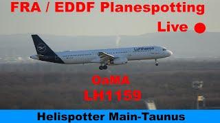 FRA LIVE  OaMA kommt zurück! | LH1159 // evening Planespotting