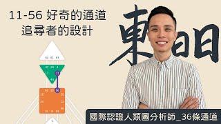 人類圖｜36條通道｜一支影片搞懂11-56好奇的通道/追尋者的設計！#人類圖 #36條通道 #好奇的通道 #追尋者的設計