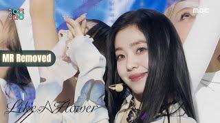 IRENE (아이린) "Like A Flower" LIVE VOCALS (MR REMOVED) | Show! MusicCore [241130]