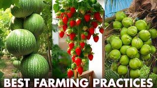 Best Farming Practices | How To Succeed In FARMING/AGRICULTURE BUSINESS