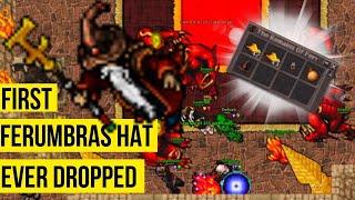 Tibia Retro - FIRST FERUMBRAS HAT ever dropped - Sashra (7.81 Antica 2006)