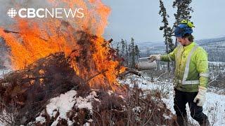 Jasper, Alta., ‘accelerating’ fire prevention plans while bracing for increasing wildfire risk