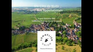 Die Côte de Nuits und ihre Appellationen