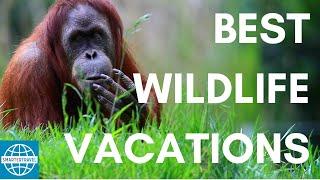 The 5 Best Vacations for Wildlife Lovers | SmarterTravel