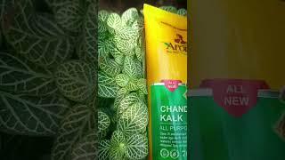 Aroma Chandanadi Kalk All-Purpose Cream