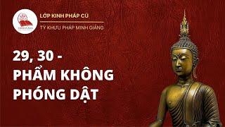 Kinh Pháp Cú 29,  30 - Phẩm Không Phóng Dật | Tỳ khưu Pháp Minh thuyết giảng