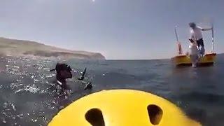 Family rescues humpback whale entangled in fishing nets in Chile