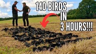 Crow Shooting at its BEST!! | Red Letter Day | DECOYING CROWS