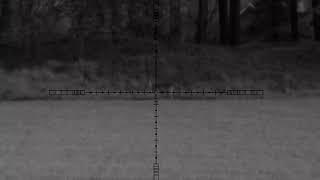 Pulsar Night Vision DIGEX - Real hunting situation. Fallow deer