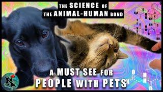 The Evolution of the Human Bond with Dogs and Cats - Our Pets Get Us High (and We Them!)