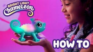 Little Live Pets | Bright Light Chameleon | How To Care and Play