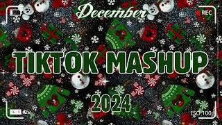 TikTok Mashup December 2024 (Not Clean