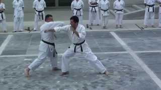 Shorin ryu karate do & Okinawan Kobudo Demonstration