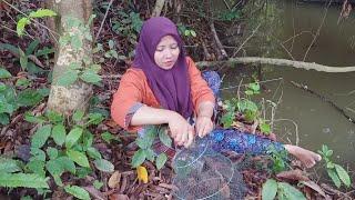 MANCING SETELAH HUJAN DI SUNGAI INI PANEN IKAN BAUNG MAS BRO..