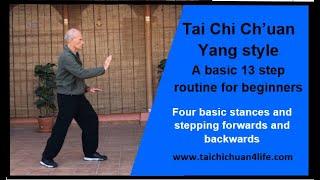 A basic Tai Chi routine for Beginners