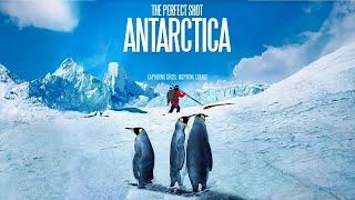 The Perfect Shot: Antarctica | Award-Winning Nature Film | Environmental Film | Climate Change