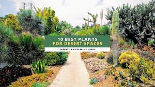 Desert Landscaping Ideas: 10 Best Plants for Your Desert Spaces ️