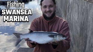 Swansea Marina Fishing - Hog Hunters UK (EP 1)